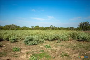 1116 Earl Williams Rd, Yorktown, TX 77954 - Photo 18