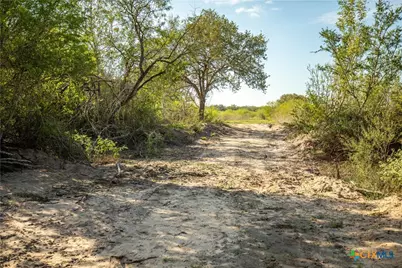 1116 Earl Williams Road, Yorktown, TX 77954 - Photo 20