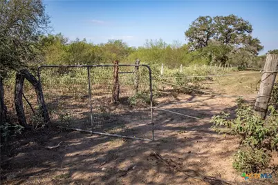 1116 Earl Williams Road, Yorktown, TX 77954 - Photo 16