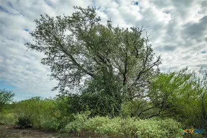 1116 Earl Williams Road, Yorktown, TX 77954 - Photo 38