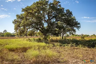 Tba State Highway 119, Yorktown, TX 78164 - Photo 8