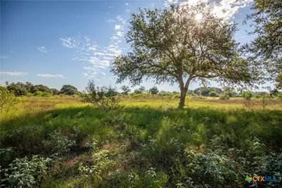Tba State Highway 119, Yorktown, TX 78164 - Photo 26