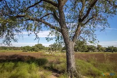 Tba State Highway 119, Yorktown, TX 78164 - Photo 18