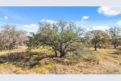 350 Yellowstone Drive, Oglesby, TX 76561 - Photo 8