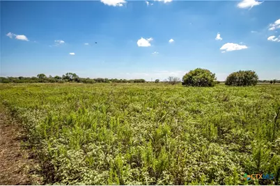 0 Hotz Road, Cuero, TX 77954 - Photo 44