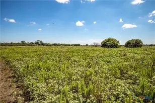 0 Hotz Rd, Cuero, TX 77954 - Photo 44