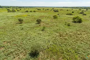 0 Hotz Rd, Cuero, TX 77954 - Photo 10