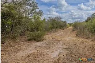 425 Metz Rd, Goliad, TX 77963 - Photo 2