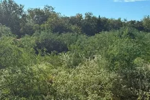 2607 FM318, Yoakum, TX 77995 - Photo 14