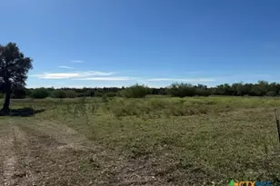 2607 FM318, Yoakum, TX 77995 - Photo 10