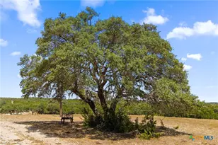 14511 Fm 32, Blanco, TX 78606 - Photo 8