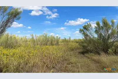 Tbd Fm 1123, Holland, TX 76534 - Photo 8