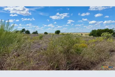 Tbd Fm 1123, Holland, TX 76534 - Photo 16