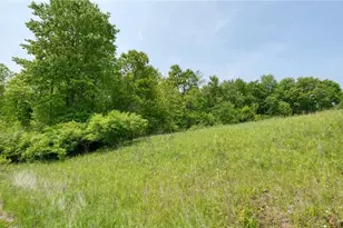 63580 Wintergreen Rd, Lore City, OH 43755 - Photo 1