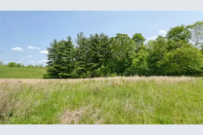 63700 Wintergreen Road, Lore City, OH 43755 - Photo 8