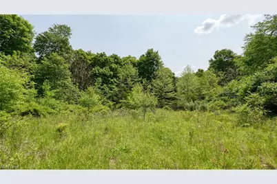 63590 Wintergreen Road, Lore City, OH 43755 - Photo 10