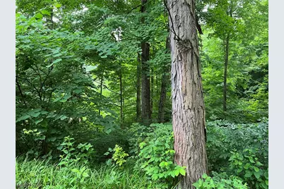 73310 Hazelwood Hills Road, Piedmont, OH 43983 - Photo 22