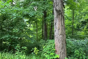 73310 Hazelwood Hills Rd, Piedmont, OH 43983 - Photo 22