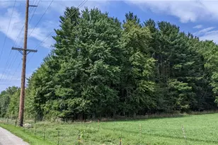 9376 Daniels Rd, Seville, OH 44273 - Photo 12
