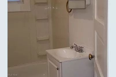 1011 E 63rd Street, Loveland, OH 44103 - Photo 8