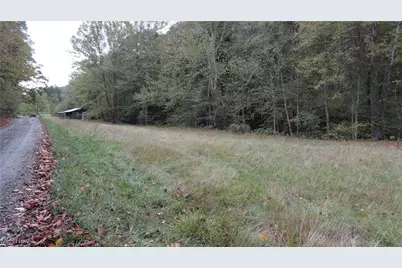 956 Hog Run Road, New Martinsville, WV 26155 - Photo 18