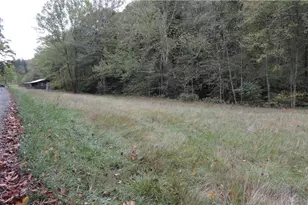 956 Hog Run Rd, New Martinsville, WV 26155 - Photo 18