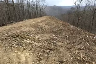 956 Hog Run Rd, New Martinsville, WV 26155 - Photo 30