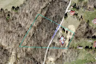 70571 Pine Hollow Rd, Bridgeport, OH 43912 - Photo 4