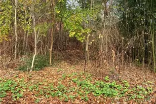 265 E Pace Ave, Coventry, OH 44319 - Photo 1