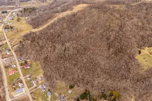 54360 Mt Victory Rd, Powhatan Point, OH 43942 - Photo 46