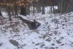 Colony Park Ct, Zanesville, OH 43701 - Photo 1