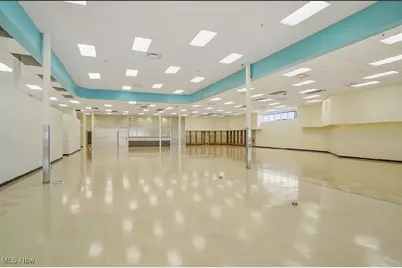 475 E 185th, Loveland, OH 44119 - Photo 16