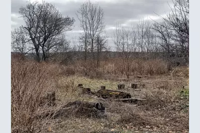 1333 Blackstone Avenue, Akron, OH 44310 - Photo 4