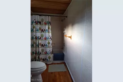 49197 John Tomcho Road, Cumberland, OH 43732 - Photo 28
