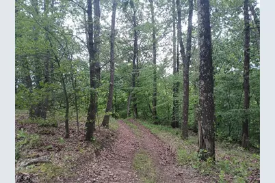 85200 Merryman Road, Cadiz, OH 43907 - Photo 50