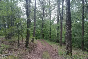 85200 Merryman Rd, Cadiz, OH 43907 - Photo 50