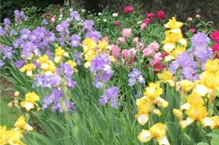 4522 7th St SW, Canton, OH 44710 - Photo 22