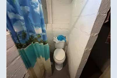 3676 W 130th Street, Loveland, OH 44111 - Photo 12