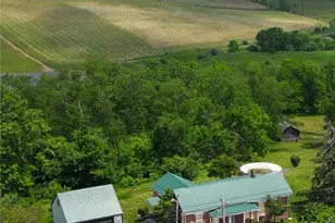 9031 State Rte 213, Toronto, OH 43964 - Photo 2