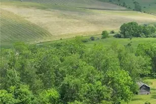 9031 State Rte 213, Toronto, OH 43964 - Photo 4