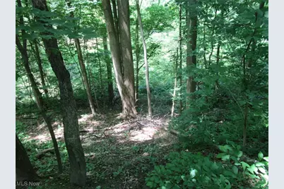 220 Daniels Avenue, Conneaut, OH 44030 - Photo 8