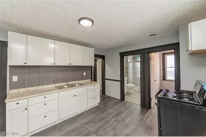 1431 Rowley Avenue, Loveland, OH 44109 - Photo 48