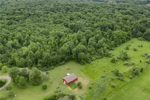 1345 Co Rd 16, New London, OH 44851 - Photo 40