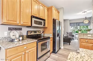 2395 Tremont Ave, Loveland, OH 44113 - Photo 10