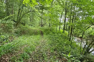 22165 Co Rd 17, Coshocton, OH 43812 - Photo 22