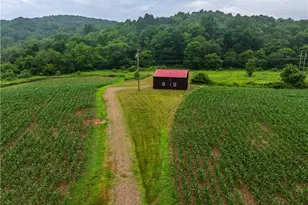 22165 Co Rd 17, Coshocton, OH 43812 - Photo 12