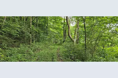 22165 County Road 17, Coshocton, OH 43812 - Photo 26