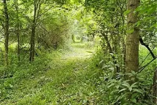 22165 Co Rd 17, Coshocton, OH 43812 - Photo 32