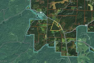 22165 Co Rd 17, Coshocton, OH 43812 - Photo 42