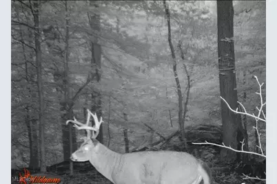 1917 Township Road 26, Killbuck, OH 44637 - Photo 26